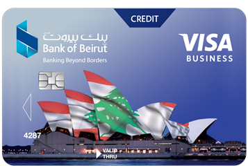 Visa Business Credit Card